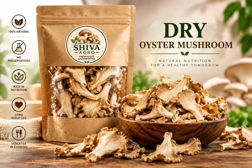 Dry Oyster Mushroom