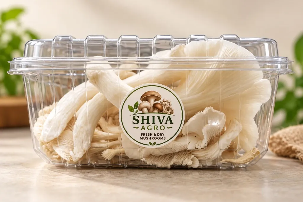 Fresh Oyster Mushroom
